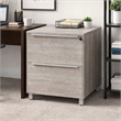Scranton & Co 2-Drawer Lateral File Cabinet in Gray Laminate