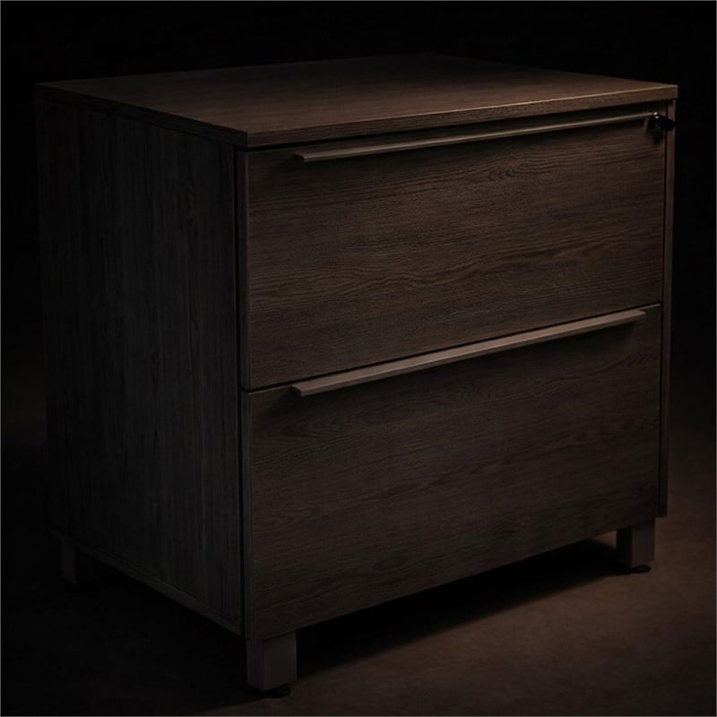Scranton & Co 2-Drawer Lateral File Cabinet in Gray Laminate