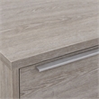 Scranton & Co 2-Drawer Lateral File Cabinet in Gray Laminate