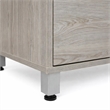Scranton & Co 2-Drawer Lateral File Cabinet in Gray Laminate