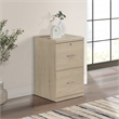 Scranton & Co Alpine 2-Drawer Vertical File Cabinet Norwegian Alder Finish