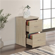 Scranton & Co Alpine 2-Drawer Vertical File Cabinet Norwegian Alder Finish