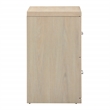 Scranton & Co Alpine 2-Drawer Vertical File Cabinet Norwegian Alder Finish