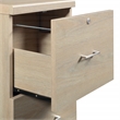 Scranton & Co Alpine 2-Drawer Vertical File Cabinet Norwegian Alder Finish
