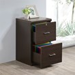 Scranton & Co Alpine 2-Drawer Wood Vertical File Cabinet with Loc in Espresso