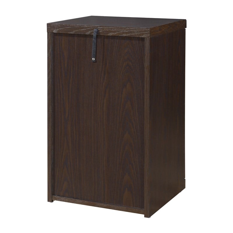 Scranton & Co Alpine 2-Drawer Wood Vertical File Cabinet with Loc in Espresso