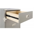 Scranton & Co Contemporary 2-Drawer File Cabinet in Gray - Campaign Style