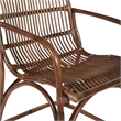 Scranton & Co Rattan Accent Chair in Brown with Sled Base Fully Assembled