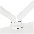 Scranton & Co Dual Monitor Arm for 17