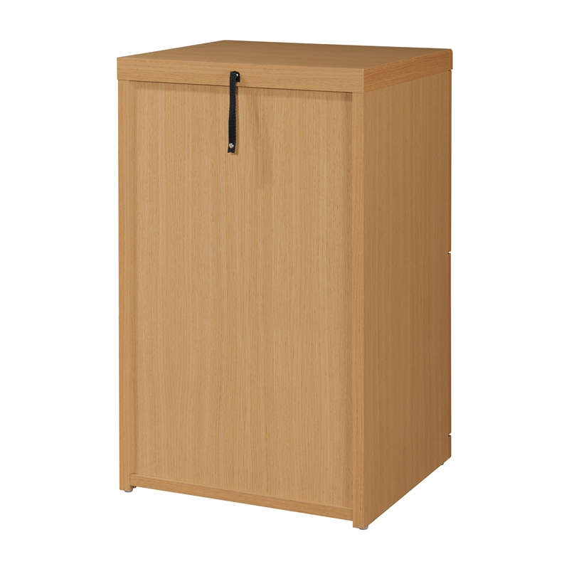 Scranton & Co 2-Drawer Locking Vertical File Cabinet in Natural Woodgrain