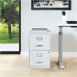 Scranton & Co 2-Drawer Locking Metal File Cabinet in Gray Assembled