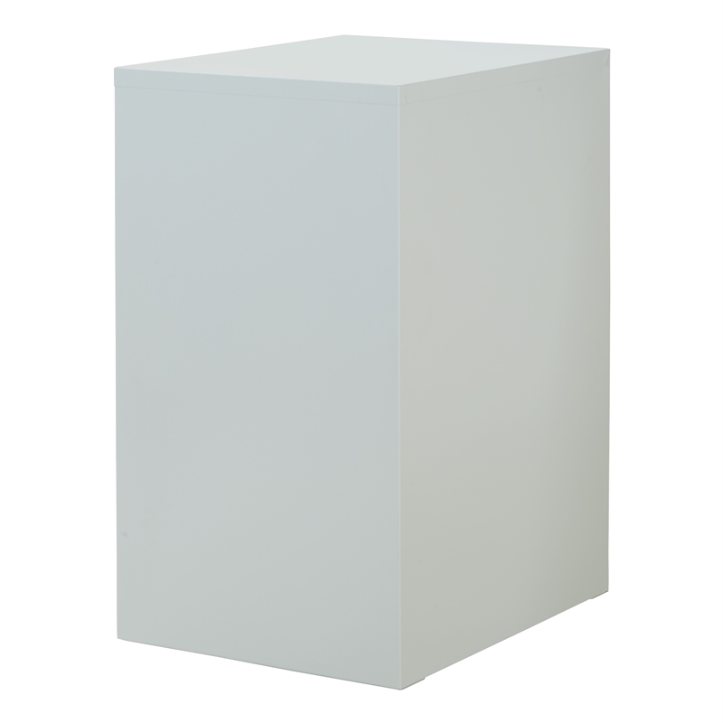 Scranton & Co 2-Drawer Locking Metal File Cabinet in Gray Assembled