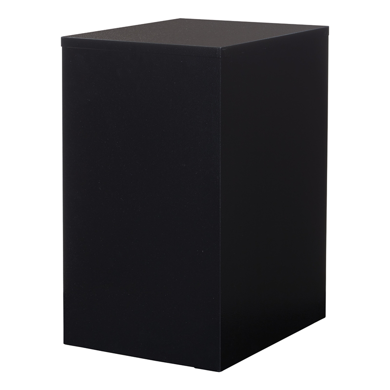 Scranton & Co 2-Drawer Locking Metal File Cabinet in Black Assembled