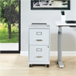 Scranton & Co 2-Drawer Mobile Locking Metal File Cabinet in Gray