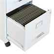 Scranton & Co 2-Drawer Mobile Locking Metal File Cabinet in Gray