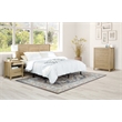 Scranton & Co Contemporary 3-Piece Queen/Full Bedroom Set in Canyon Oak