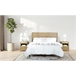 Scranton & Co 3-Piece Queen/Full Headboard and 2 Nightstands in Canyon Oak