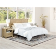 Scranton & Co 3-Piece Queen/Full Headboard and 2 Nightstands in Canyon Oak