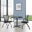 Scranton & Co Folding Chair 2-Pack in Black Coal FreeFlex Fabric