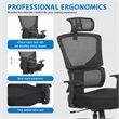 Scranton & Co Adjustable Chair with Vertical Matrix Back and Headrest