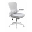 Scranton & Co Ergonomic Mesh Task Chair with Flip-Up Arms in Grey/White