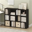 Scranton & Co 12-Cube Storage Bookshelf in Espresso for Living Room/Bedroom