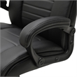 Scranton & Co Big & Tall Ergonomic Executive Office Chair in Black