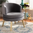Scranton & Co Grey Velvet Accent Chair with Gold Finished Wood Legs