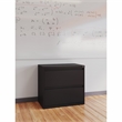 Scranton & Co Metal 2-Drawer Lateral File Cabinet in Black