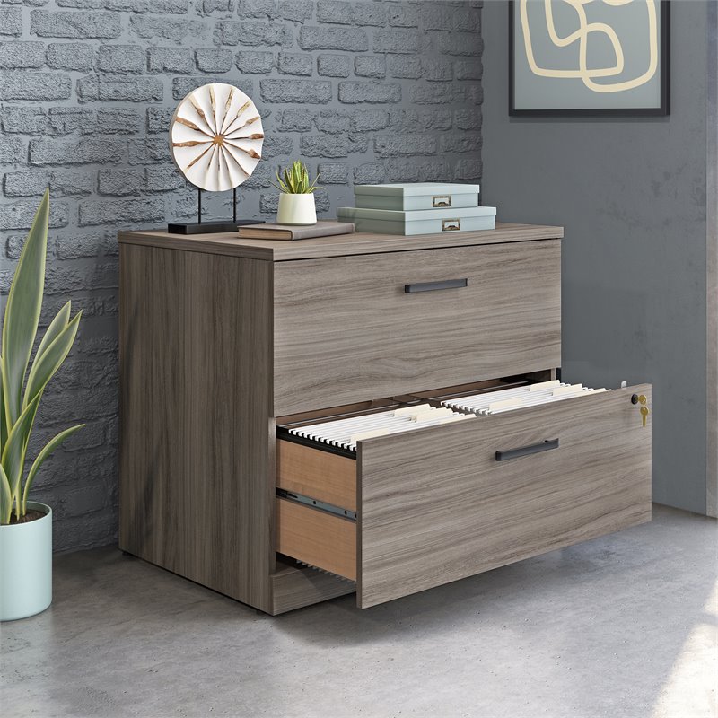 Scranton & Co Engineered Wood 2-Drawer Lateral File Cabinet in Hudson Elm
