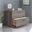 Scranton & Co Engineered Wood 2-Drawer Lateral File Cabinet in Hudson Elm