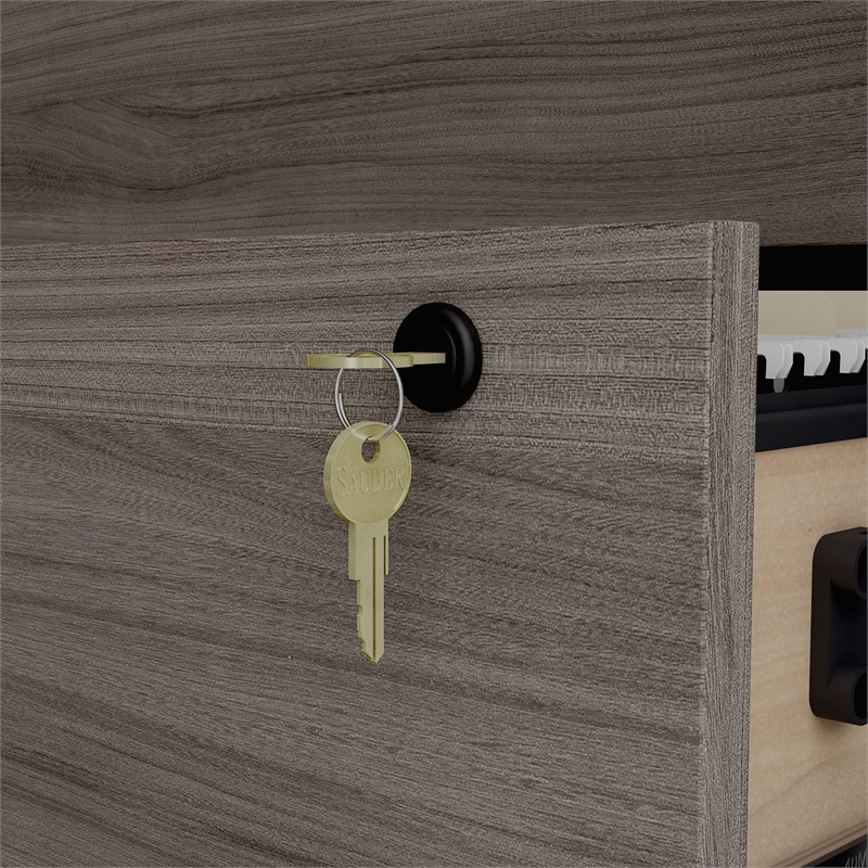 Scranton & Co Engineered Wood 2-Drawer Lateral File Cabinet in Hudson Elm