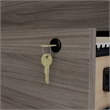 Scranton & Co Engineered Wood 2-Drawer Lateral File Cabinet in Hudson Elm