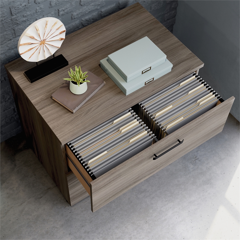 Scranton & Co Engineered Wood 2-Drawer Lateral File Cabinet in Hudson Elm