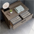 Scranton & Co Engineered Wood 2-Drawer Lateral File Cabinet in Hudson Elm