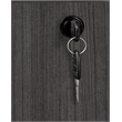 Scranton & Co 2 Drawer Locking Lateral File Cabinet in Ash Grey