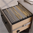 Scranton & Co 2-Drawer Mobile Filing Cabinet in Hudson Elm Finish