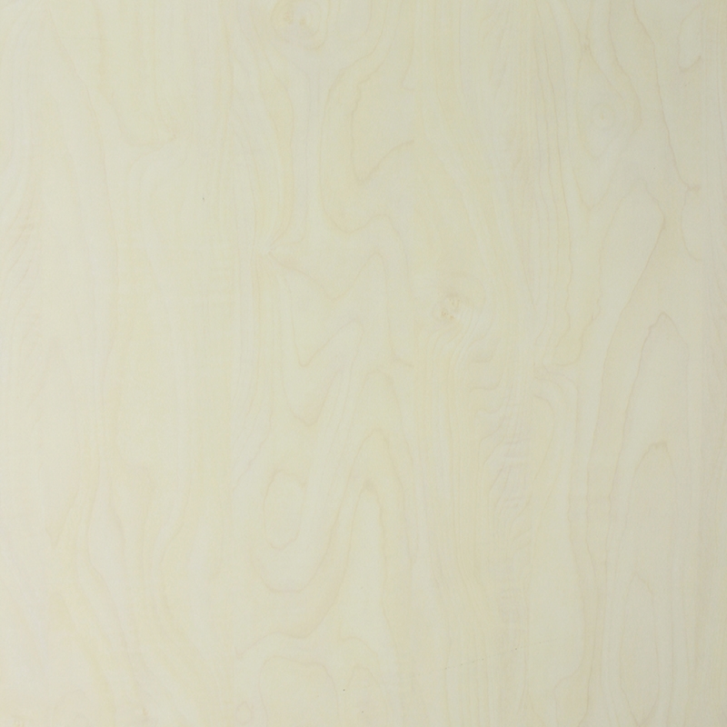 Scranton & Co 26