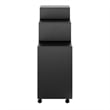 Scranton & Co 3-Piece Engineered Wood Storage Cabinet Set in Black