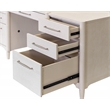 Scranton & Co Modern Wood Office Desk with Storage in Ash White Finish