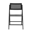 Scranton & Co Set of 2 Cane Rattan Folding Chairs in Black Finish