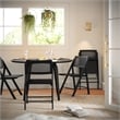 Scranton & Co Set of 2 Cane Rattan Folding Chairs in Black Finish