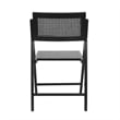 Scranton & Co Set of 2 Cane Rattan Folding Chairs in Black Finish