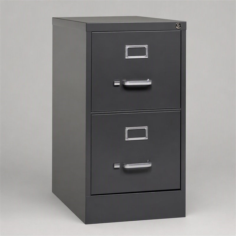 Scranton & Co 2-Drawer Letter Width Metal File Cabinet in Charcoal