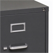 Scranton & Co 2-Drawer Letter Width Metal File Cabinet in Charcoal