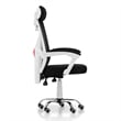 Scranton & Co Ergonomic Metal Office Chair in Black White