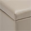 Atlin Designs Faux Leather Storage Bench in Cream