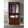 Atlin Designs Contemporary Wood 2-Door and 2-Drawer Armoire in Mahogany