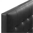Modern Vinyl Twin Panel Headboard with Wood Frame in Black
