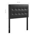Modern Vinyl Twin Panel Headboard with Wood Frame in Black